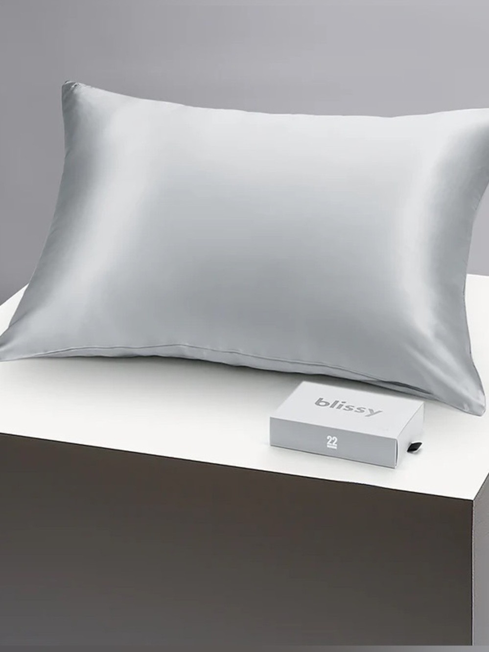 NIB Blissy 100% Pure Silk Pillowcase Standard Silver Washable